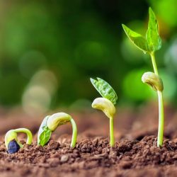 shutterstock_14772785212-960x640